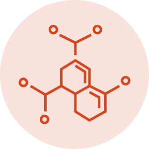 icon-built_brand