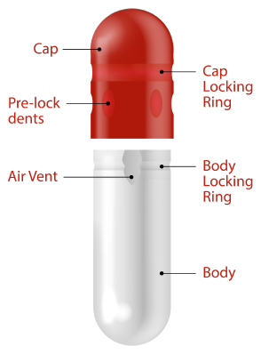 Structure of Gelatin Capsules