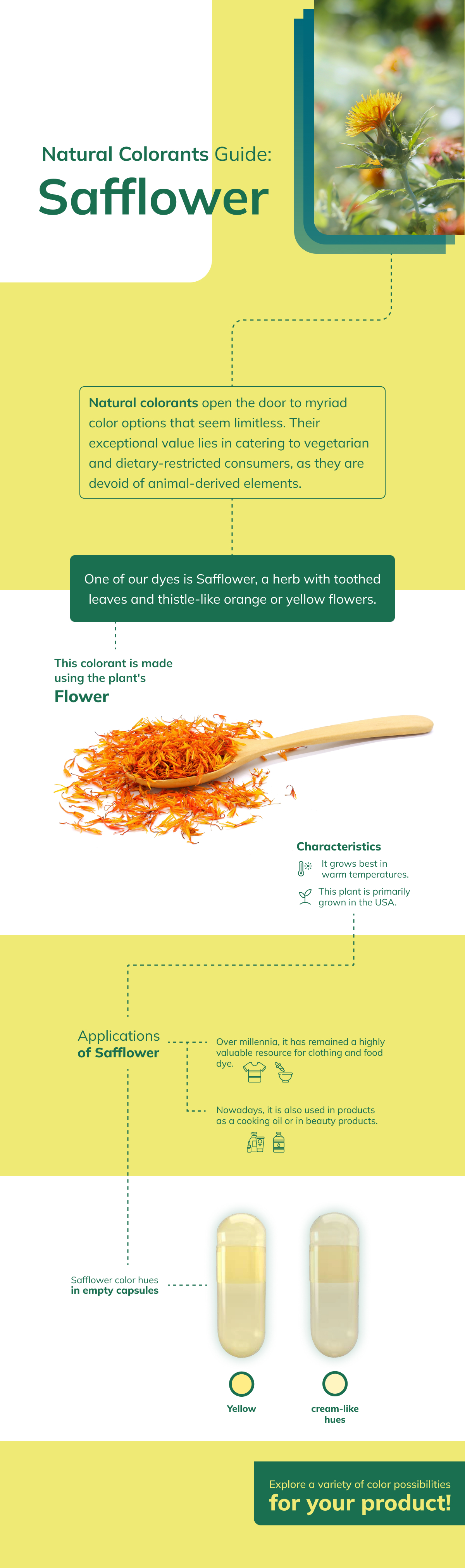 infografia-safflower2