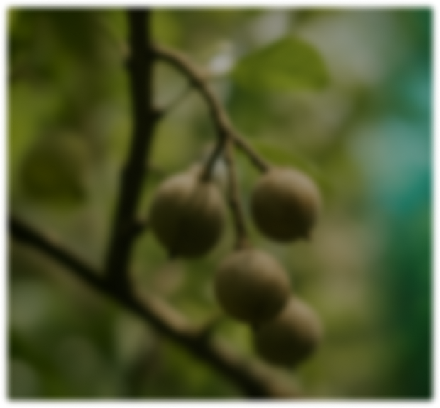 jagua-blue-fruit-background-2