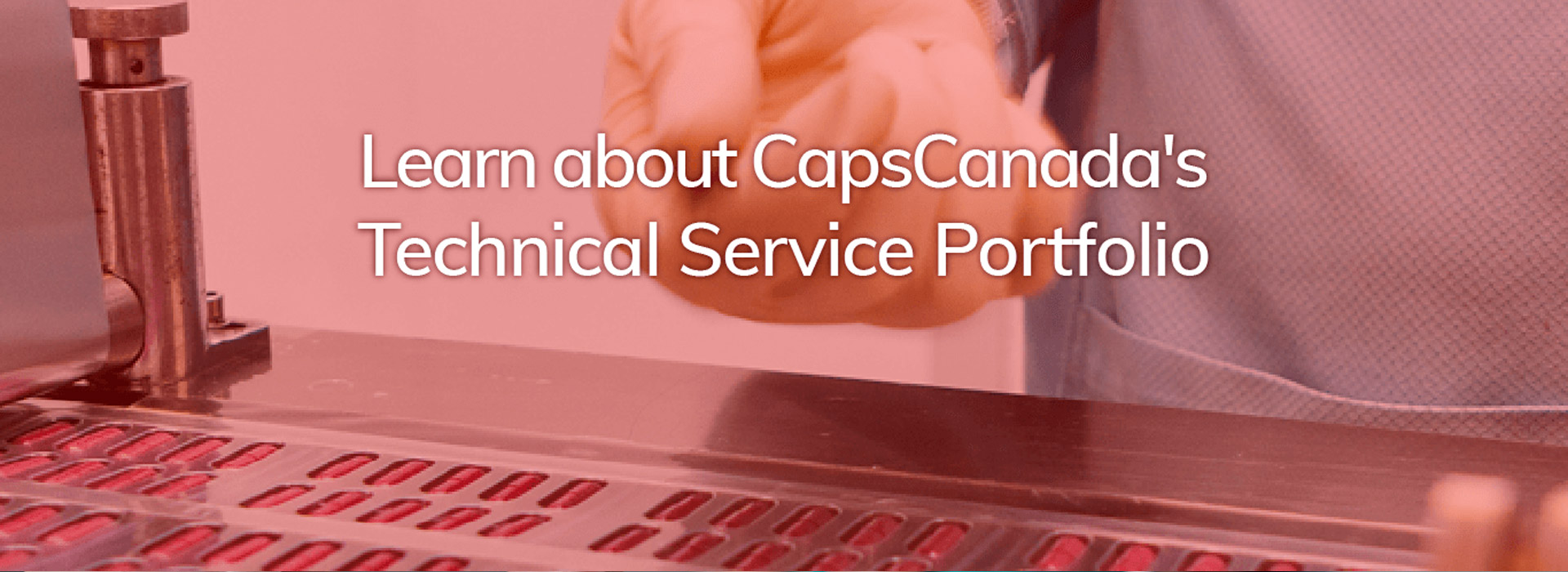 Technical Portfolio: Learn about CapsCanada's services