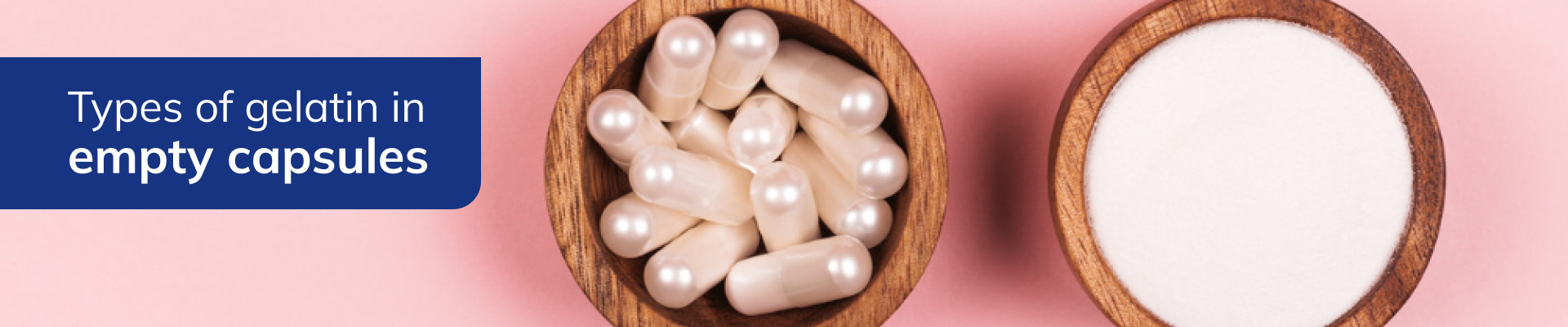 banner-types-of-gelatine-empty-capsules