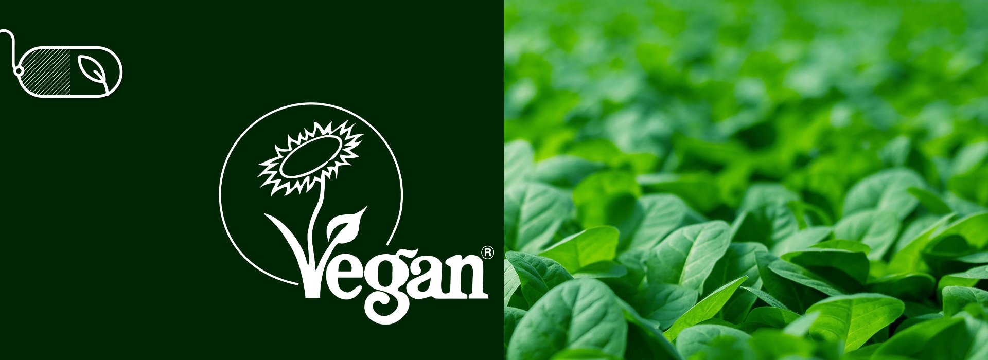 What K-CAPS® New Vegan Certification Means for Your Brand