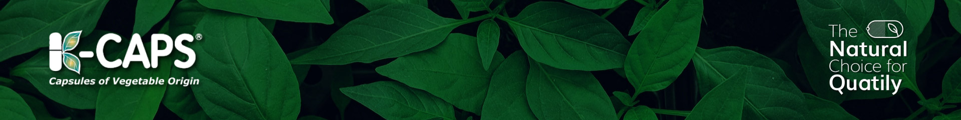 Banner-KCaps-capsules