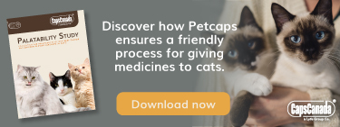 Palatability Study: flavored capsules for cats
