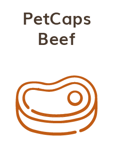 beef-icon