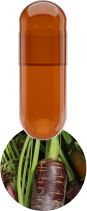 brown-carrot-capsule