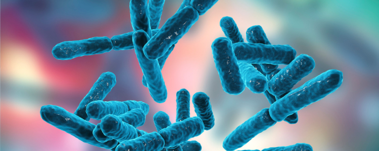 Delayed capsule delivery for probiotics