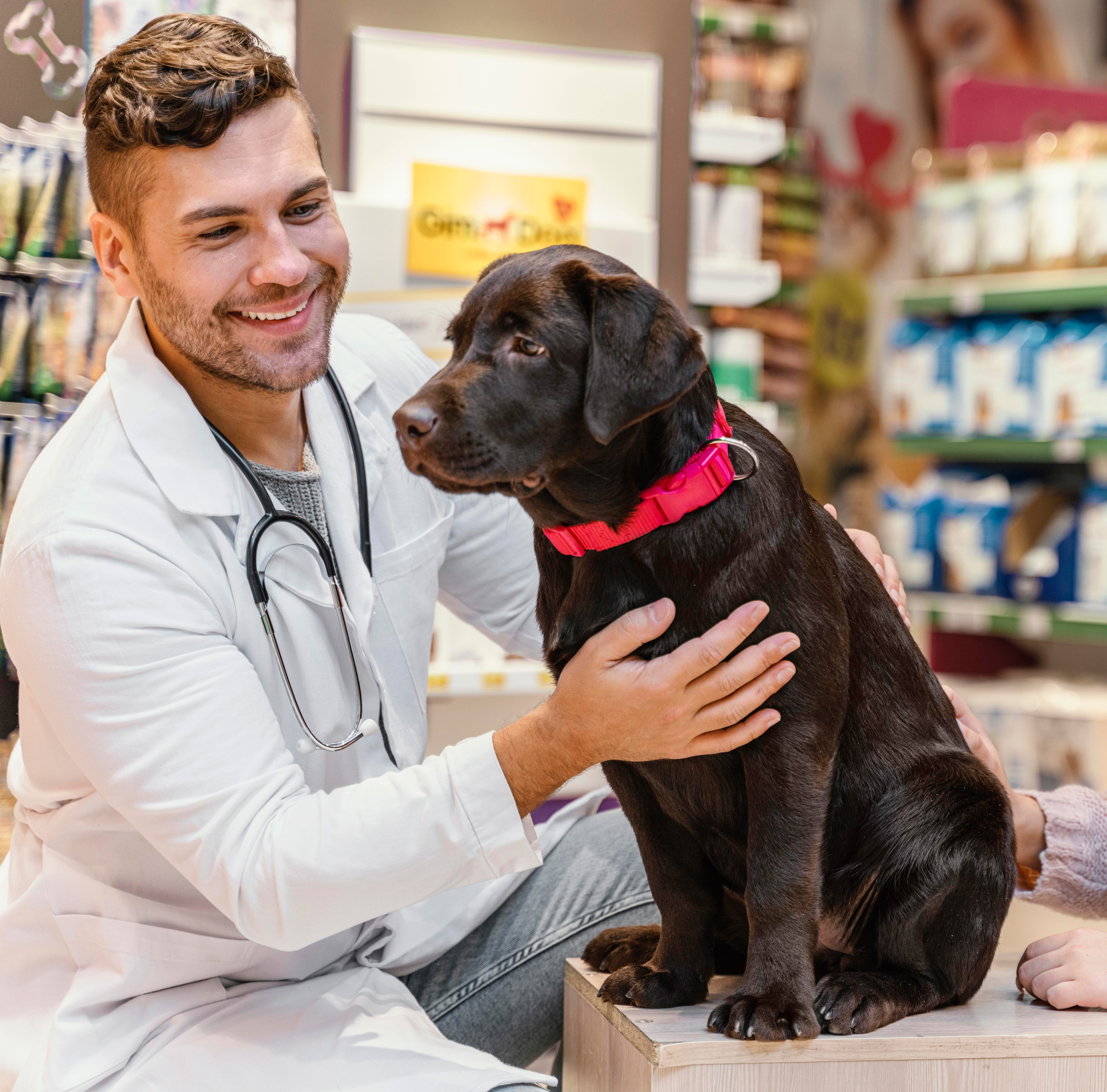 For veterinary drug applications - pet capsules