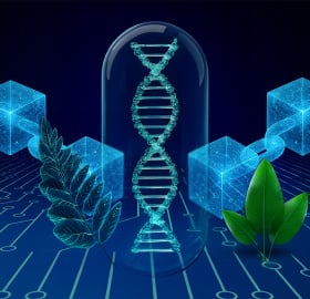 Pharmaceutical industry trends: AI,  blockchain & more | CapsCanada