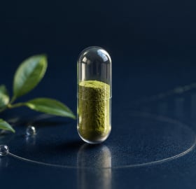 Supplements for Longevity: A Business Guide | Lyfe Group