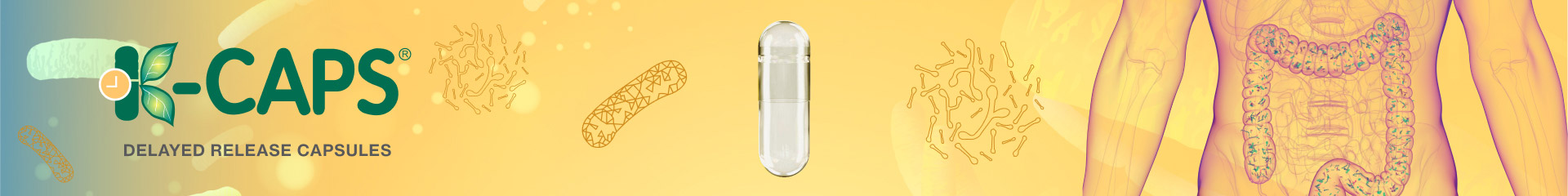 kcaps-delayed-release-capsules-desk-D