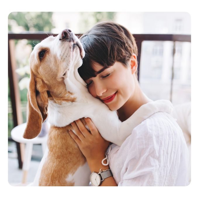 Applications of our empty capsules for pet owners