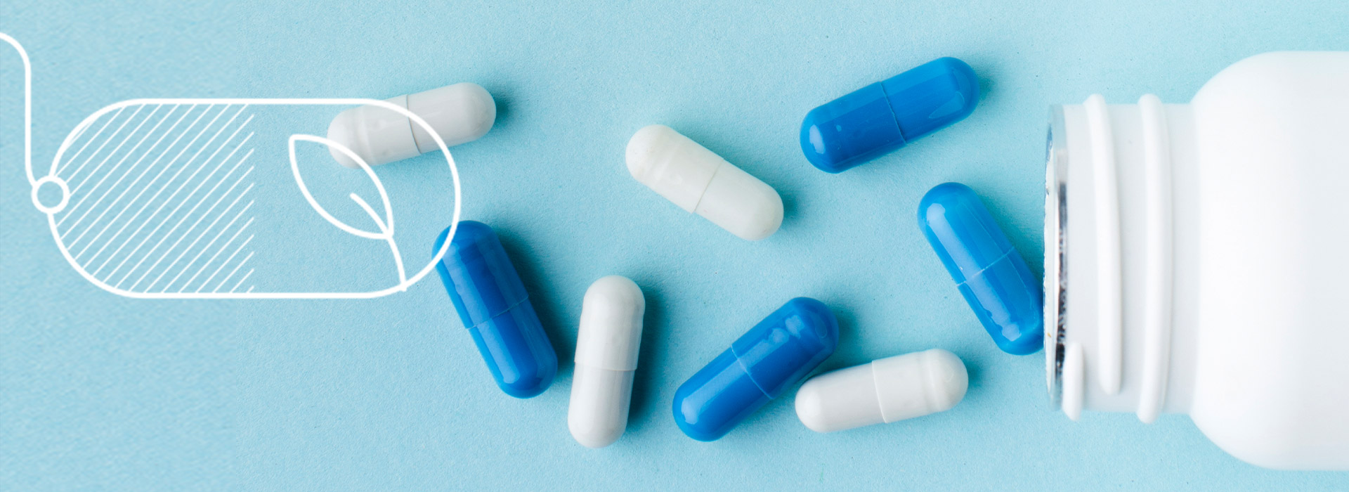 Gelatin capsules vs. HPMC capsules: What are the differences?