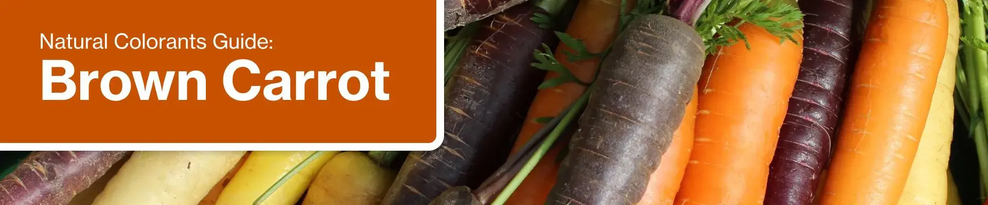 portada-principal-descargable-natural-colorants-brown-carrot-2026
