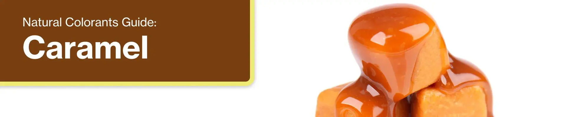 portada-principal-descargable-natural-colorants-caramel-2026