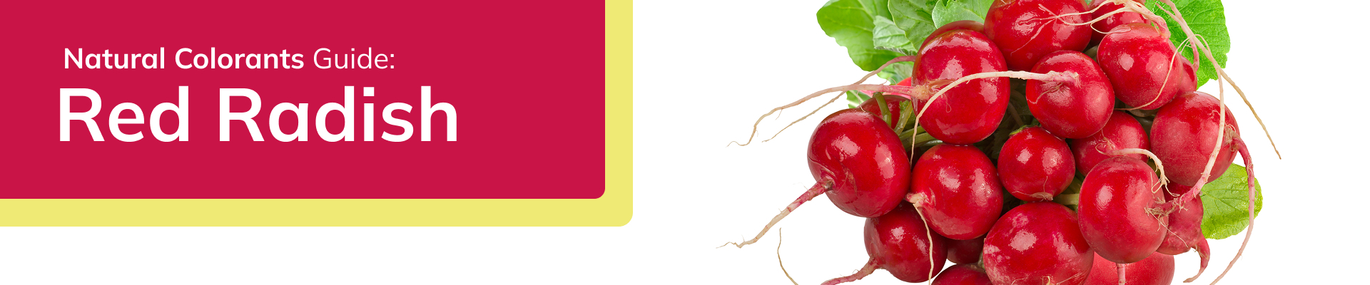portada-principal-descargable-natural-colorants-red-radish
