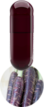 red-carrot-capsule