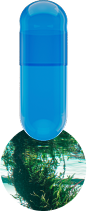 spirulina-capsule